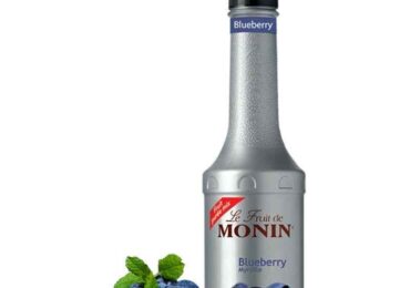 Blueberry MONIN