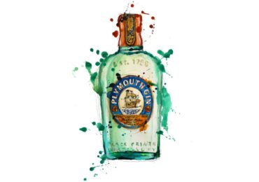 Plymouth Gin