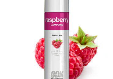 Raspberry ODK